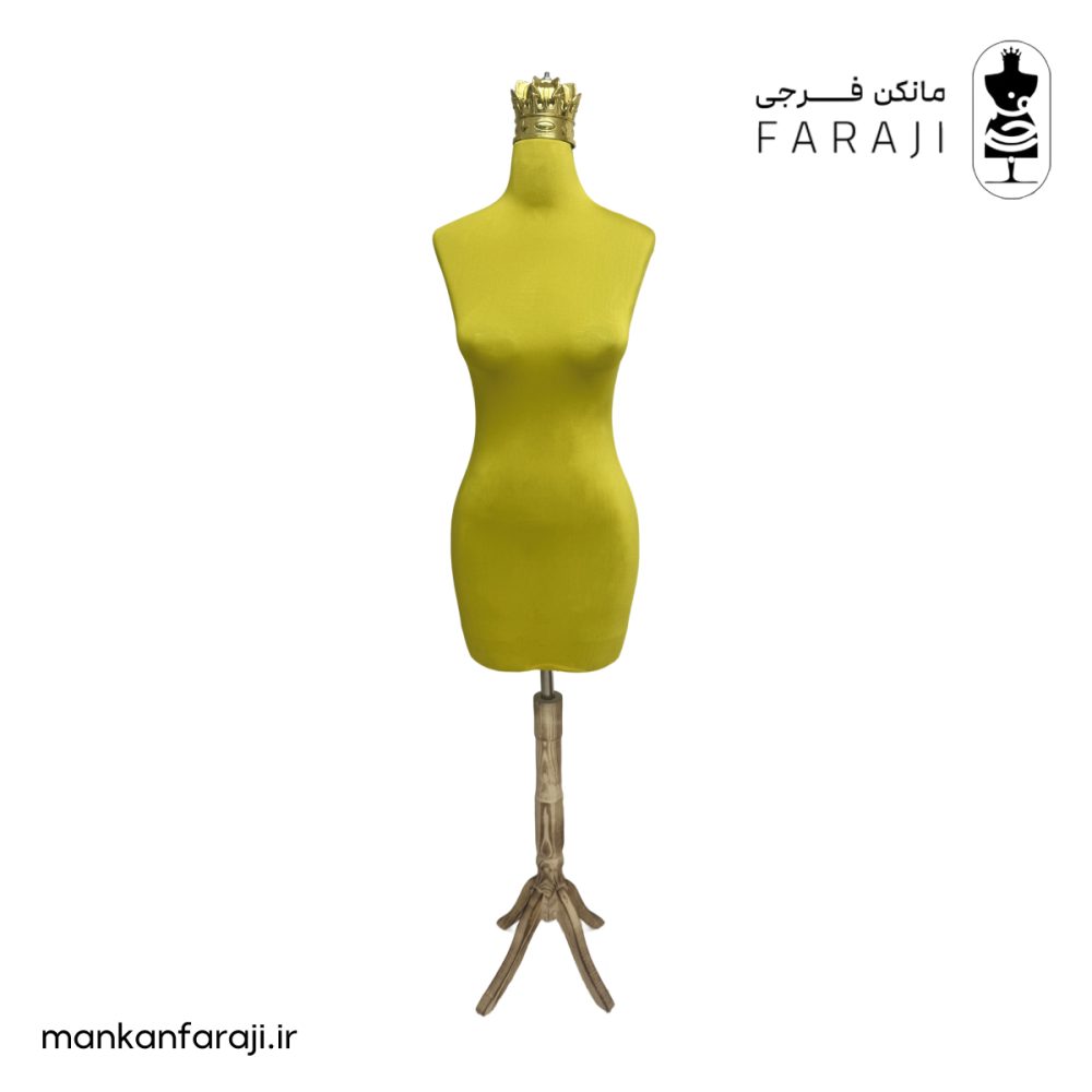 Plastic female torso mannequin